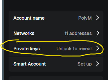 MetaMask — ecrã Account details com a opção Private keys, Unlock to reveal, assinalada